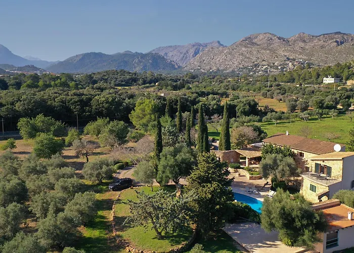 Bennassar פוינסה